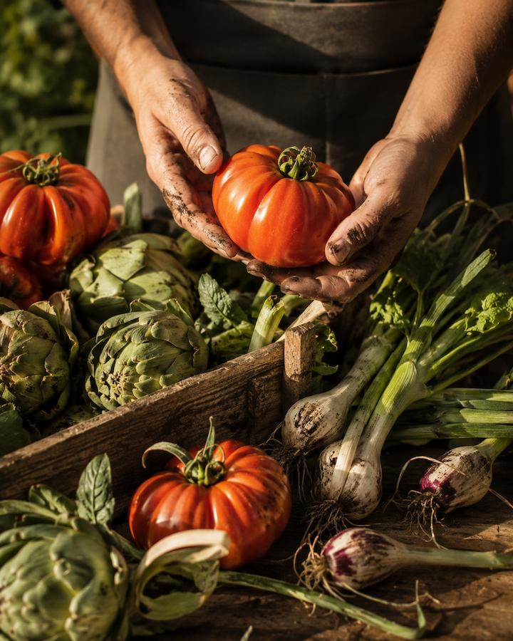 Producto de huerta propia Km 0 para los arroces de Fum de Llum